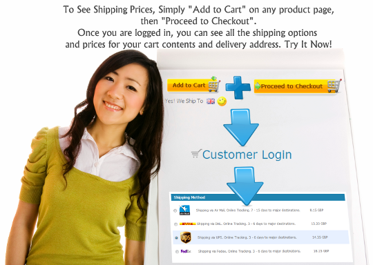 How you can preview shipping costs in the chinavasion checkout